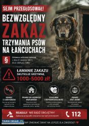 Zakaz łańcuchów! - Obrazek 1