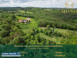 Siedlisko 2,7 ha na terenie gminy Tuchów - Obrazek 1