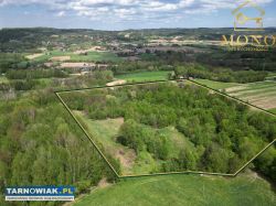 Siedlisko 2,7 ha na terenie gminy Tuchów - Obrazek 2