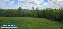 Siedlisko 2,7 ha na terenie gminy Tuchów - Obrazek 4