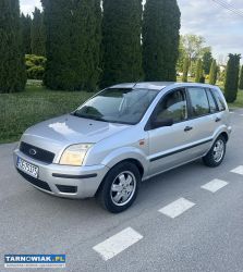 Ford Fusion 1.4 diesel 2004r - Obrazek 1