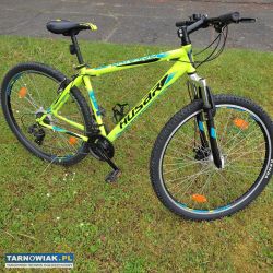 Rower Husar - Obrazek 2