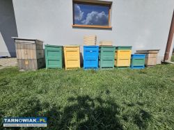 ul wielkopolski 10 ramkowy burnat kompatybilny - Obrazek 3