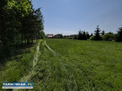 Dom z dużą działką i stawem – Strzelce Wielkie - Obrazek 3
