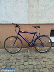 Rower speedent unitrade - Obrazek 1