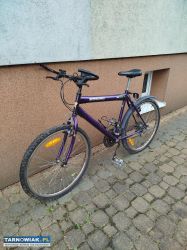 Rower speedent unitrade - Obrazek 2