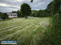Działka 16 arów Szczepanowice - Obrazek 2