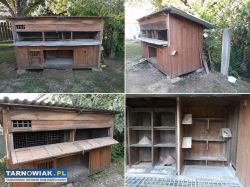 Oddam golebnik za darmo - Obrazek 1