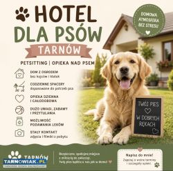 Hotel dla psów tarnów petsitter opieka nad psem - Obrazek 1