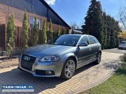 Audi a3 8p - Obrazek 2