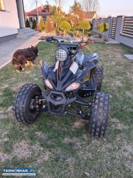 Quad 125 - Obrazek 1