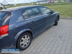 Sprzedam opel signum - Obrazek 1