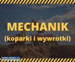 Mechanik (koparki i wywrotki) - Obrazek 1