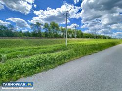 Działka 12 ar z WZ Wola Rządzińska - Obrazek 2