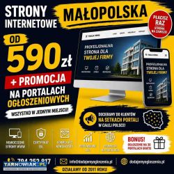 Strona internetowa Tarnów od 590 zł | Publikacja o - Obrazek 1