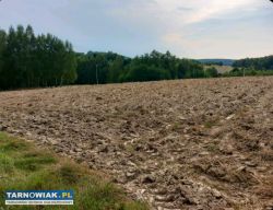 Działka budowlana - Obrazek 3