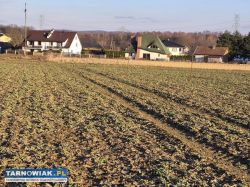 Błonie - budowlana , 9 arów - Obrazek 2