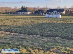 Błonie - budowlana , 9 arów - Obrazek 3