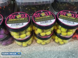 Wędkarski w łęu tarnowskim -zaprasza-- - Obrazek 2