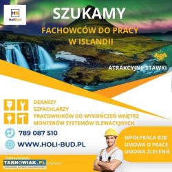Islandia – praca dla fachowców - Obrazek 1