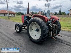 Ciągnik Białoruś PE08-B 82r Zarejestrowany - Obrazek 3