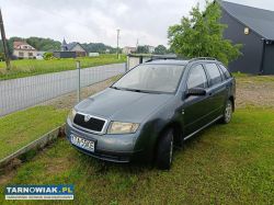 Skoda Fabia - Obrazek 1