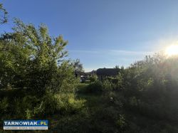 Dom do remontu na działce 14,87 ara – Żabno - Obrazek 4