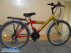 Rower 24. - Obrazek 1