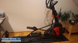 Orbitrek York - Obrazek 1
