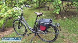 Rower Sparta - Obrazek 3