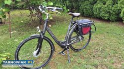 Rower Sparta - Obrazek 4