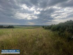 Działka widokowa Łukowa 50ar - Obrazek 3