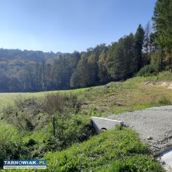 Łowczów Kamieniec 74 ary - Obrazek 1