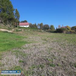 Łowczów Kamieniec 74 ary - Obrazek 3