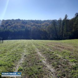 Łowczów Kamieniec 74 ary - Obrazek 2