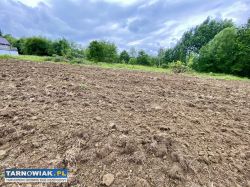 Gwoździec, działki na sprzedaż z WZ, TANIO - Obrazek 4