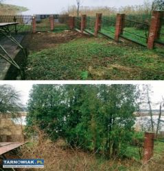 Kompleksowe czyszczenie działek koszenie ogroleśne - Obrazek 4