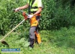 Kompleksowe czyszczenie działek koszenie ogroleśne - Obrazek 3