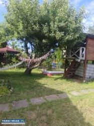 Rod w mościcach - Obrazek 4