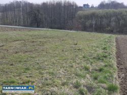 Szynwałd, budowlana, 12 ar - Obrazek 3
