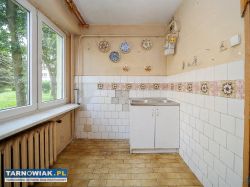 3 pokoje, parter, Gumniska - Obrazek 4