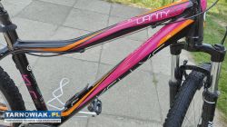 Rower 26 Kellys Vanity alu rama 17 cali bdb stan - Obrazek 2