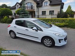 Peugeot 308 1.6 hdi 2010r bez dpf'a i dwumasy - Obrazek 2