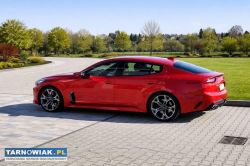 KIA Stinger 1 Własciciel - Obrazek 1