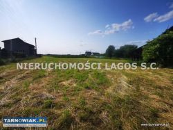 Sieciechowice gm. Wierzchosławice działka 39 arów - Obrazek 2