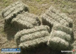 Siano w kostkach duze ilosci - Obrazek 1