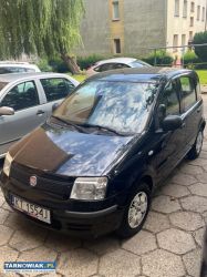 Fiat Panda - Obrazek 1