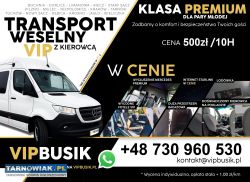 Vipbusik - 9 os. Bus - wesela najem lotnisko - Obrazek 3