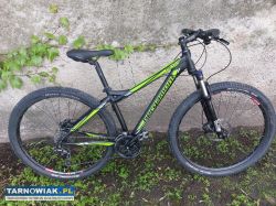 Rower Bergamont Revox LTD - Obrazek 2