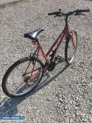 Rower - Obrazek 2